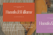 Elsain - Serif Font (16 Fonts), a Serif Font by Maculinc Type (Thumbnail 5 of 11)