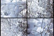 76 winter nature backgrounds, a Nature Photo by pictures for you (Thumbnail 7 of 20)