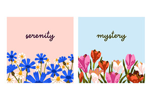 Card Backgrounds With Flowers Set