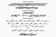 Cielline | Signature Font, a Script Font by Lemonthe (Thumbnail 8 of 9)