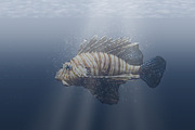 Underwater - Photoshop Action preview 4