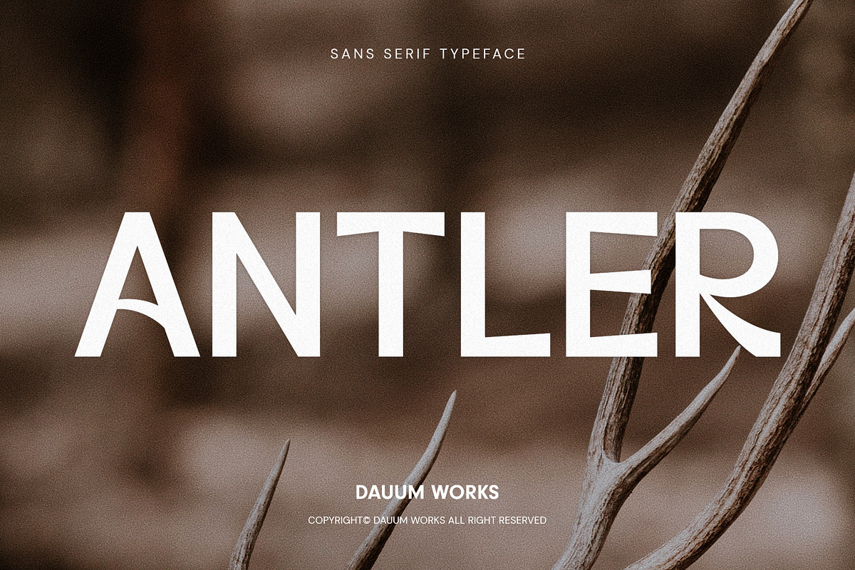 ANTLER - Sans Serif Typeface, a Sans Serif Font by Dauum Works (Photo 1 of 8)