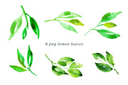 Watercolor Lemon Painting Bundle, an Illustration by Heartmade by Claudia (Thumbnail 3 of 4)