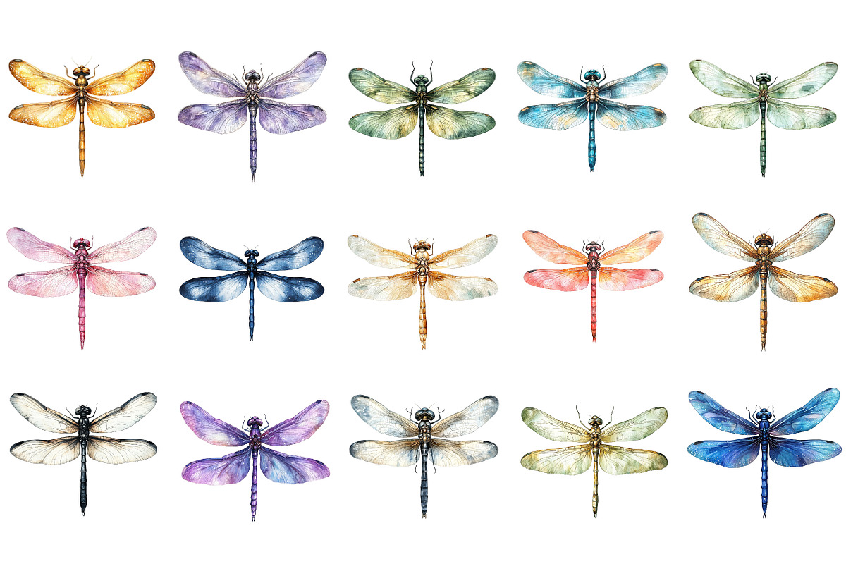 Dragonfly Clipart Bundle, an Illustration by Designking (Photo 3 of 5)