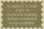 Amstine | Modern Serif, a Serif Font by Pentagonistudio (Thumbnail 10 of 10)