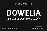Dowelia – Sans Serif Font Family, a Sans Serif Font by NDNL Studio (Thumbnail 1 of 9)