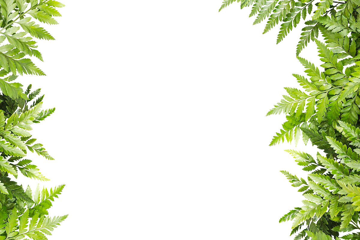 Nature border featuring background, botanical, and botany, an Arts & Entertainment Photo by rakoptonLPN (Photo 2 of 4)
