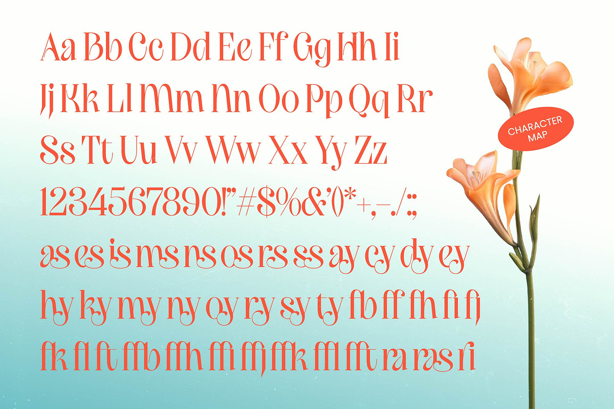 Brasky Modern Serif Display, a Serif Font by timelesstype.co (Photo 6 of 10)