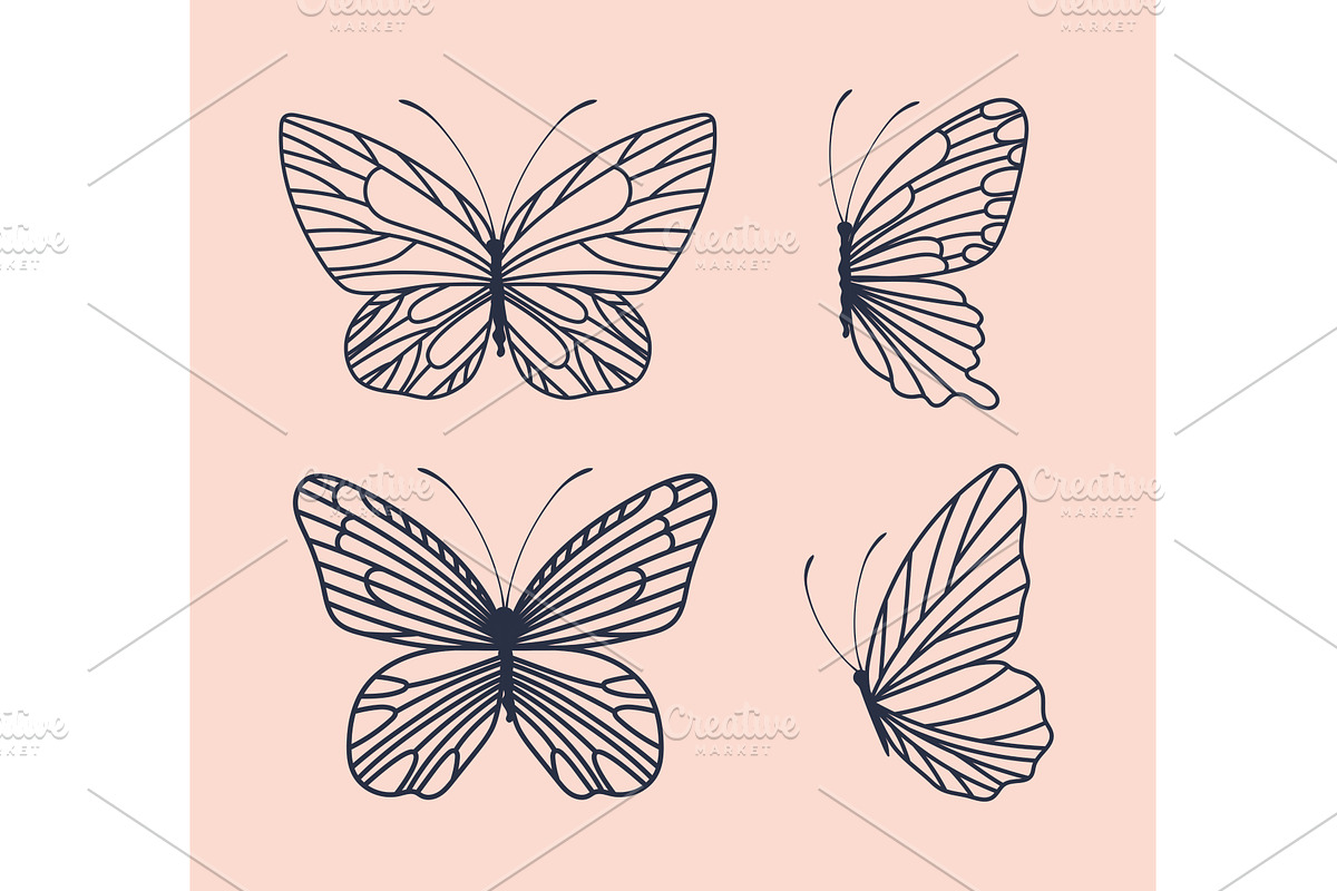 four cute butterflies, an Animal Illustration by studiogstock