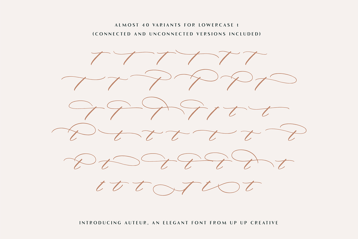 Auteur Calligraphy Script Font, a Script Font by Up Up Creative (Photo 14 of 16)
