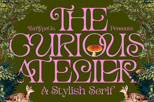 TAN - CURIOUS, a Serif Font by TanType
