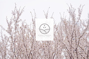 ORGANIC AESTHETIC LOGO COLLECTION, a Branding & Logo Template by Luna Dreams (Thumbnail 9 of 10)
