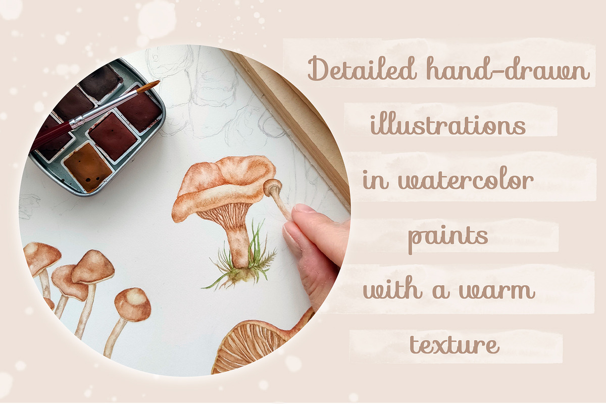 Forest watercolor mushrooms clipart, a Seasonal Illustration by Irina Avdeeva (Photo 2 of 12)