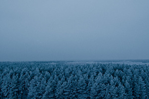 snowy shackles