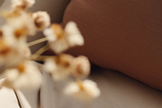TERRE D'OMBRE Autumn Wildflowers, a Decorative Illustration by Muse Artist (Thumbnail 7 of 13)