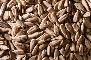Dried edible shelled sunflower seeds creating a rustic natural f, a Photo by Studio ANNA