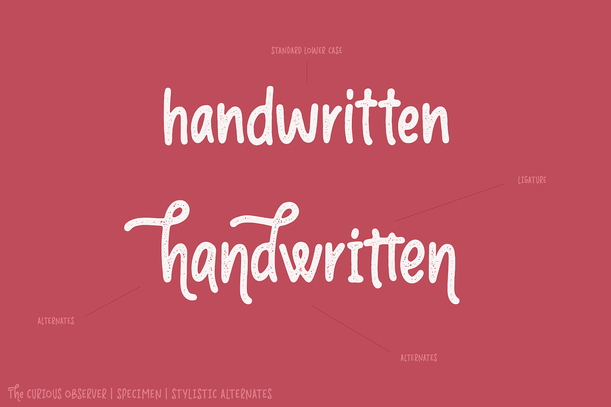 Curious Observer | Regular & Dry, a Sans Serif Font by Ayca Atalay (Photo 4 of 11)
