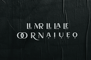 DE TOOREIT, a Sans Serif Font by Joko Setiono (Thumbnail 10 of 11)