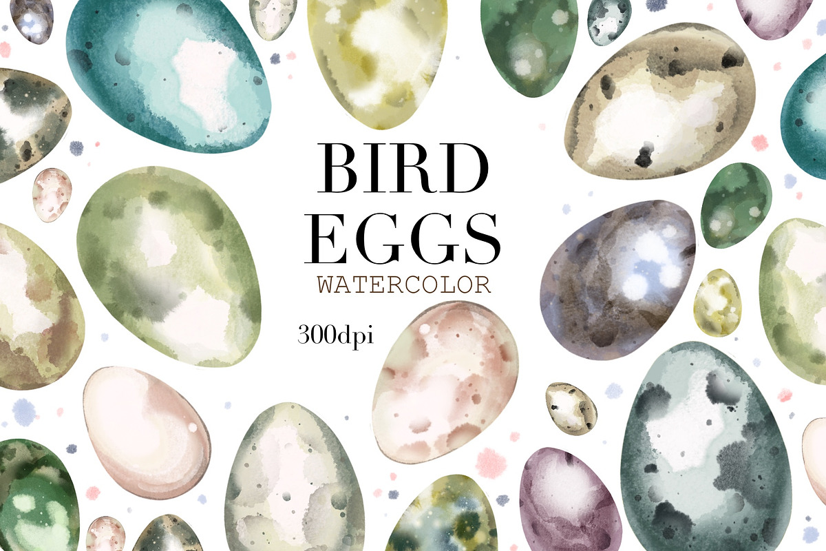 Watercolor Bird Egg Clipart. Easter, an Animal Illustration by NKTKNS (Photo 1 of 4)