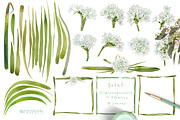 White Spring-Paperwhites, an Illustration by watercolorwild.graphics (Thumbnail 3 of 7)