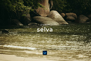 LR presets Selva, a Preset Add-On by Emi Martinez Diana (Thumbnail 1 of 7)