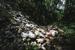 Sunlit rockfall on forest trail, a Nature Photo by SkyNext