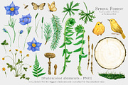 Watercolor Floral All Seasons Bundle, a Seasonal Illustration by Ksenia Shmakova (Thumbnail 37 of 39)