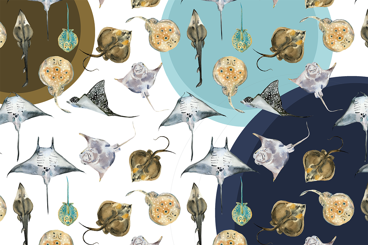 Watercolour Ray Set, an Education Illustration by Tati Bordiu (Photo 2 of 6)
