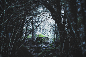 Dark stock photo containing photos and art