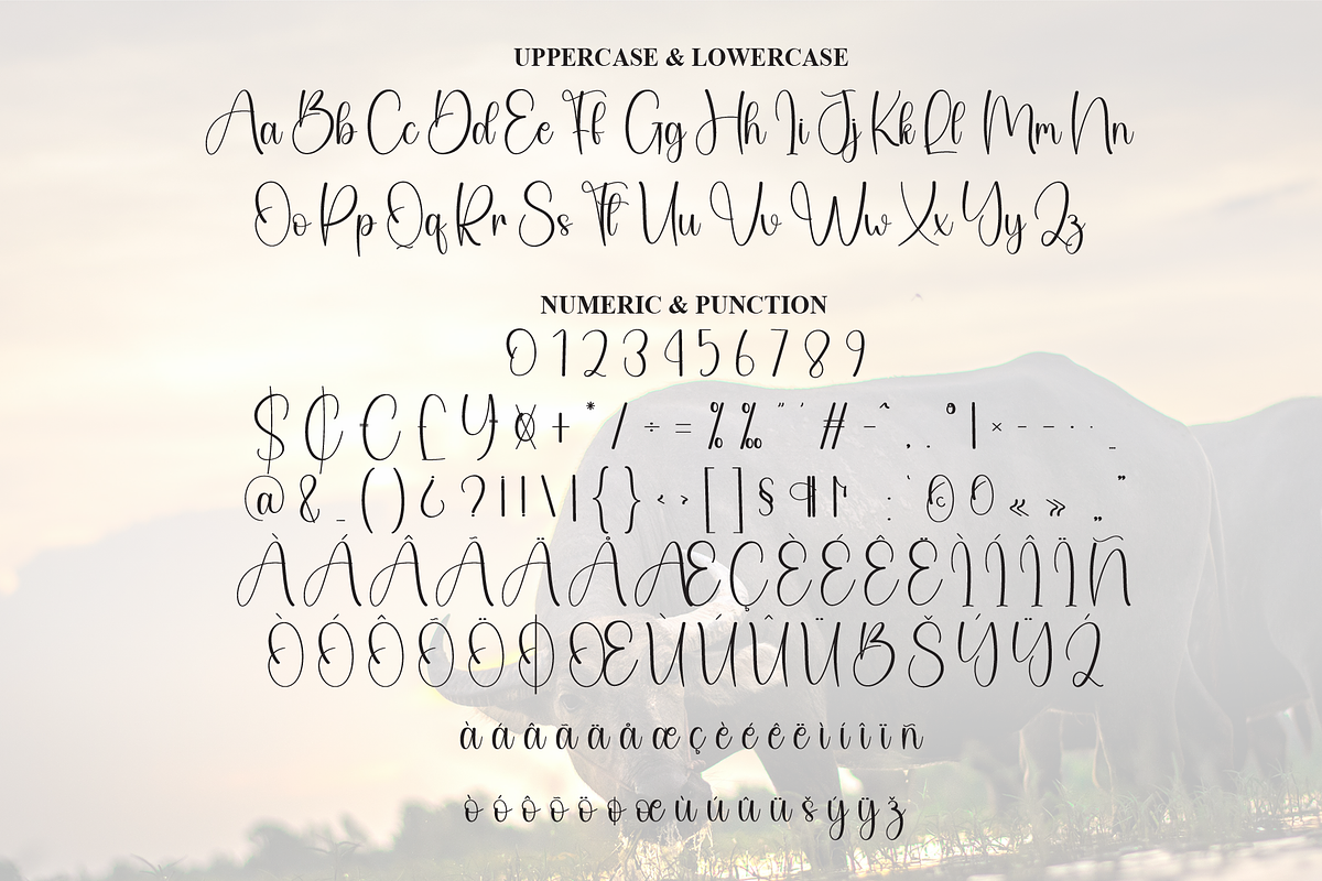 Buffalo | Script Font, a Handwritten Font by Scratchones (Photo 7 of 9)