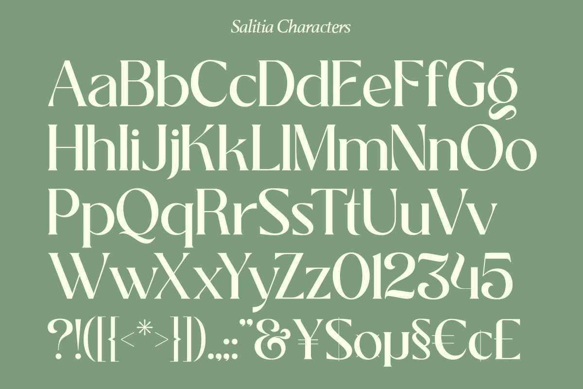 Salitia - 6 Font and Swash, a Serif Font by Dharmas Foundry (Photo 14 of 16)