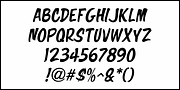 Popular Records JNL, a Script Font by Jeff Levine Fonts (Thumbnail 5 of 5)