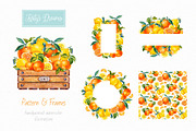 Citrus. Watercolor., a Decorative Illustration by Ekaterina Mikheeva (Thumbnail 3 of 6)