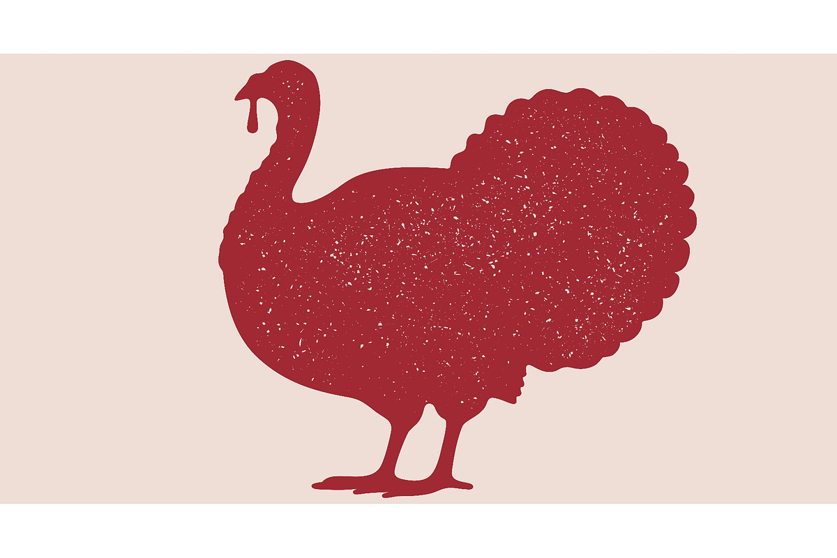 Turkey bird silhouette. Graphic, an Object Illustration by Foxys Graphic (Photo 1 of 3)