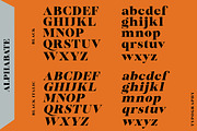 Bailsun, a Serif Font by Gatype (Thumbnail 6 of 10)