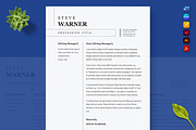 Tailored USA & NYC Resume Design, a Resume Template by Nur Designer (Thumbnail 3 of 4)