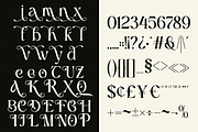 Blach Narative - Beauty Serif Font, a Serif Font by Font Liner (Thumbnail 8 of 10)
