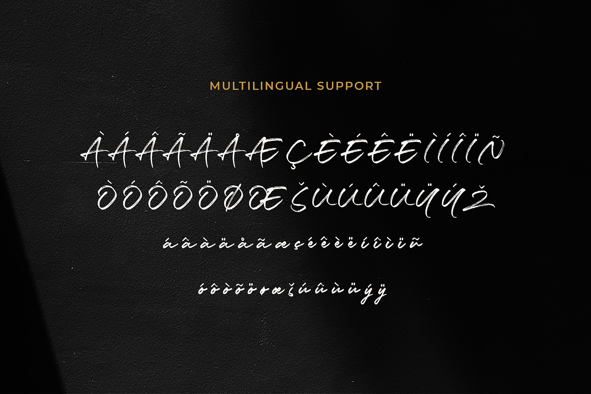 Luxery Classy Handwritten Font, a Script Font by Prestigetype (Photo 13 of 13)