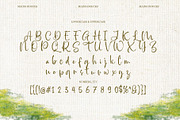 Mains Douces - Handwritten Script, a Script Font by Inviline.co (Thumbnail 3 of 10)