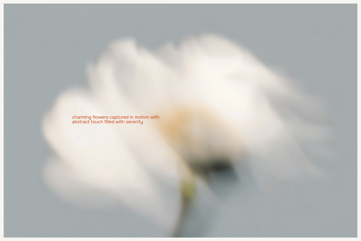 FLORET Blur Flower Backgrounds, a Background Graphic by Aesthetic Eye (Photo 6 of 19)