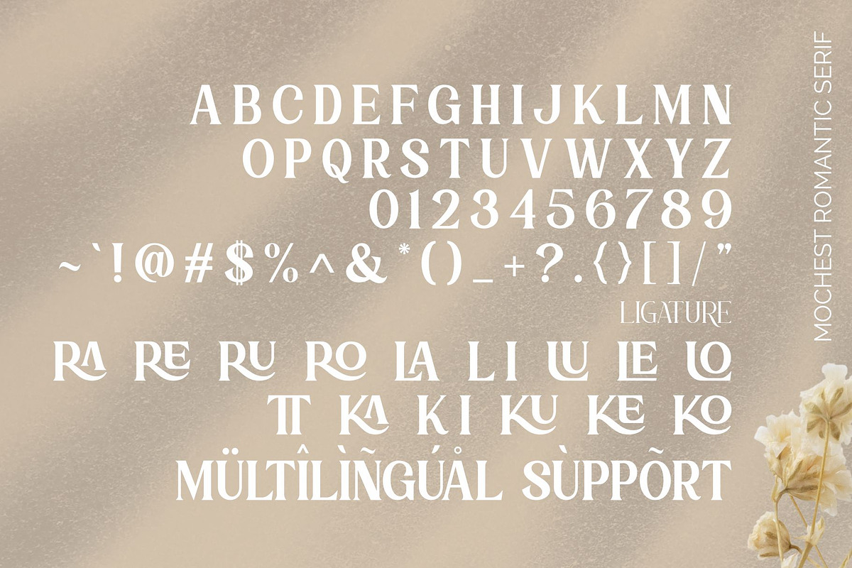 Mochest Romantic - Elegant Font Duo, a Script Font by ErgibiStudio (Photo 10 of 12)
