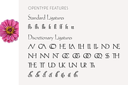 Hellen - Serif Font, a Serif Font by Genilson Santos (Thumbnail 16 of 21)