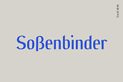 Gerda – A Calligraphic Sans Serif, a Sans Serif Font by Local Desk Designstudio (Thumbnail 17 of 19)