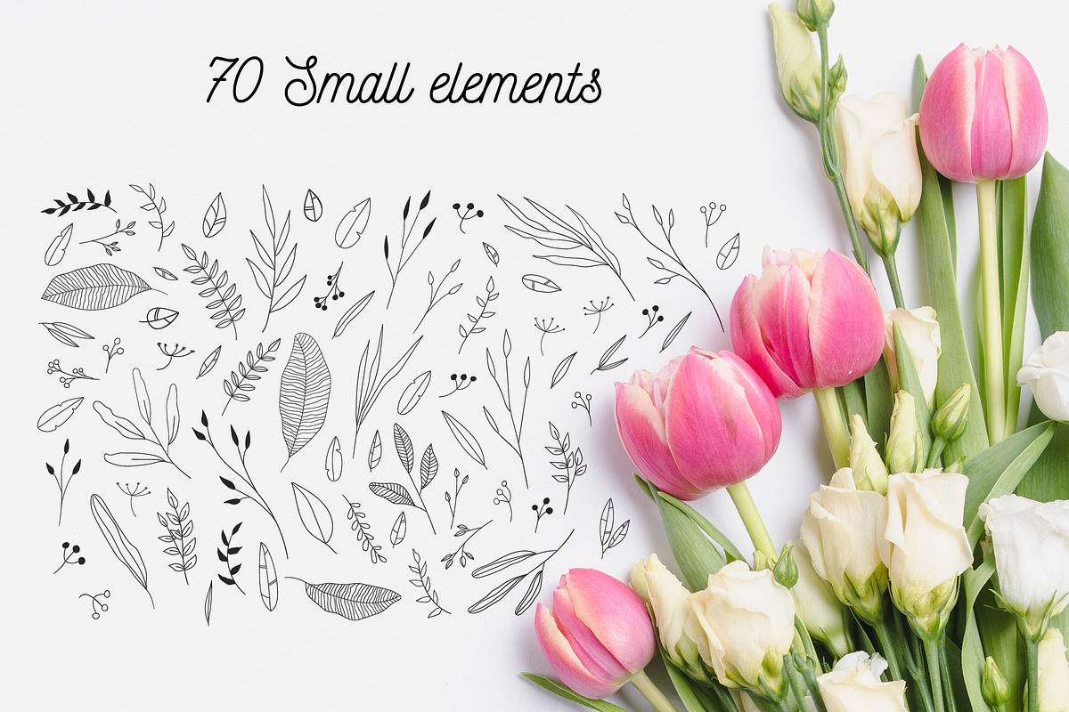 110 Hand-drawn botanical elements, a Decorative Illustration by Wander Designs (Photo 8 of 8)