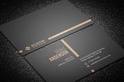 150 BUSINESS CARDS(BUNDLE) ONLY $49, a Business Card Template by DesignGhar (Thumbnail 16 of 81)