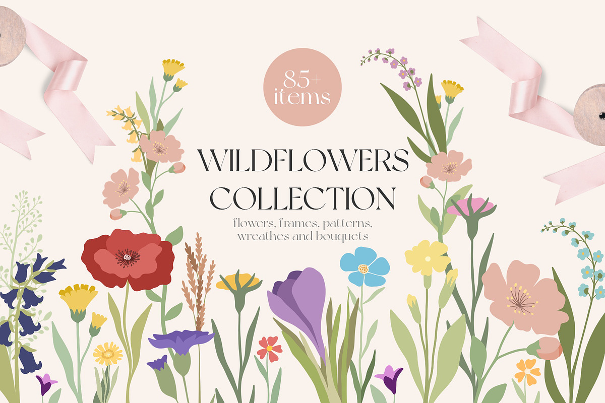 Wildflowers Graphic Collection, an Illustration by Alina Sh (Photo 1 of 8)