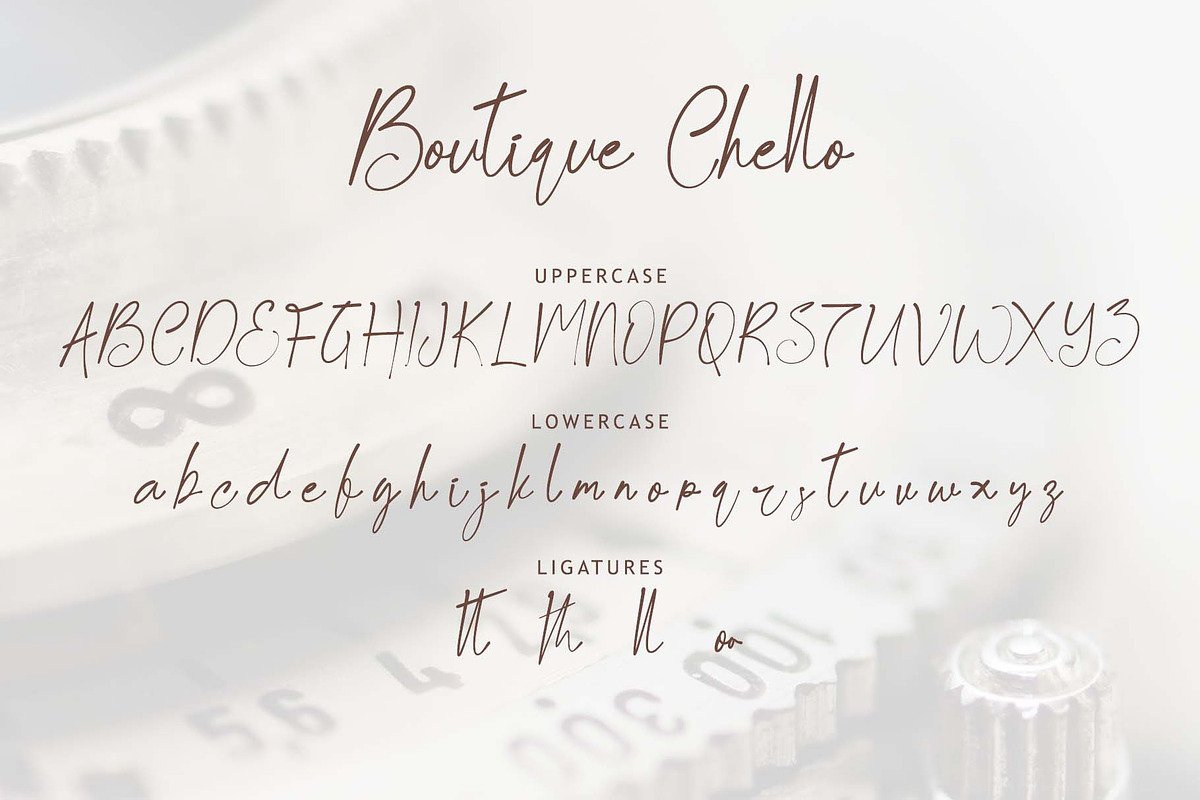 Boutique Chello, a Handwritten Font by Yoga Letter (Photo 5 of 6)