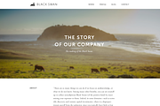 Black Swan Portfolio Template(PSD), an App Template by UI Store (Thumbnail 4 of 5)