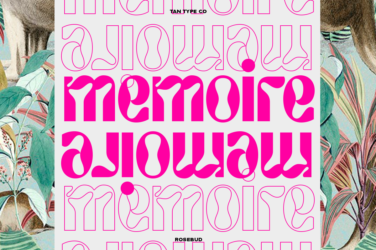 TAN - ROSEBUD, a Font by TanType (Photo 9 of 15)
