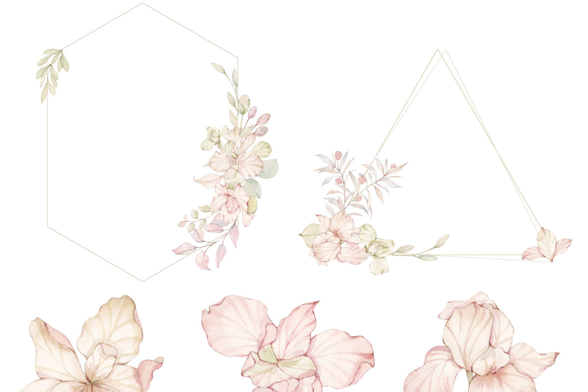 Watercolor Pink Iris Clipart, a Decorative Illustration by ArtbyHien (Photo 2 of 6)